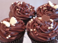 /album/photo-gallery-cupcakes1/jacks-first-camp-032-jpg/